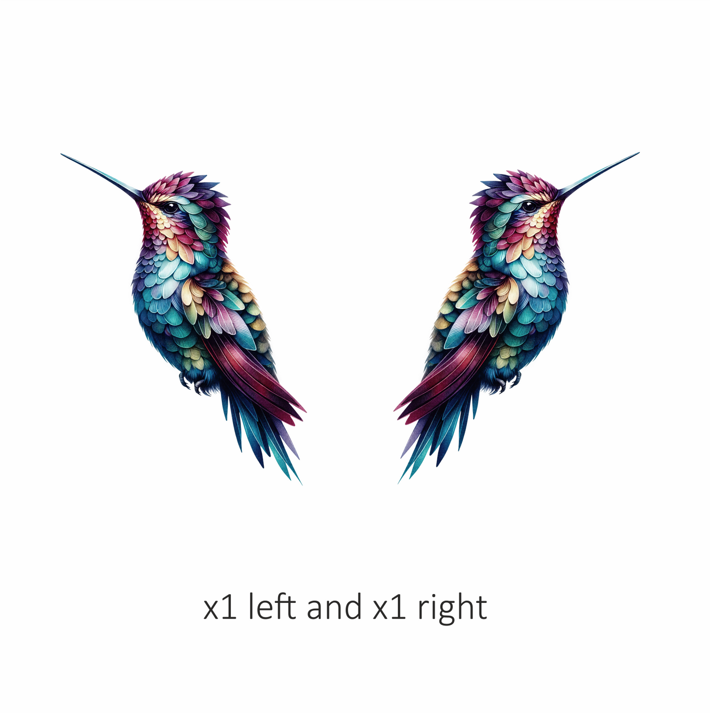 Multicolor Hummingbird Perched Closed Wings Vinyl Sticker Decal