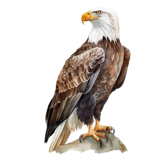 Brown Eagle Bald Sitting Rock Vinyl Sticker Decal