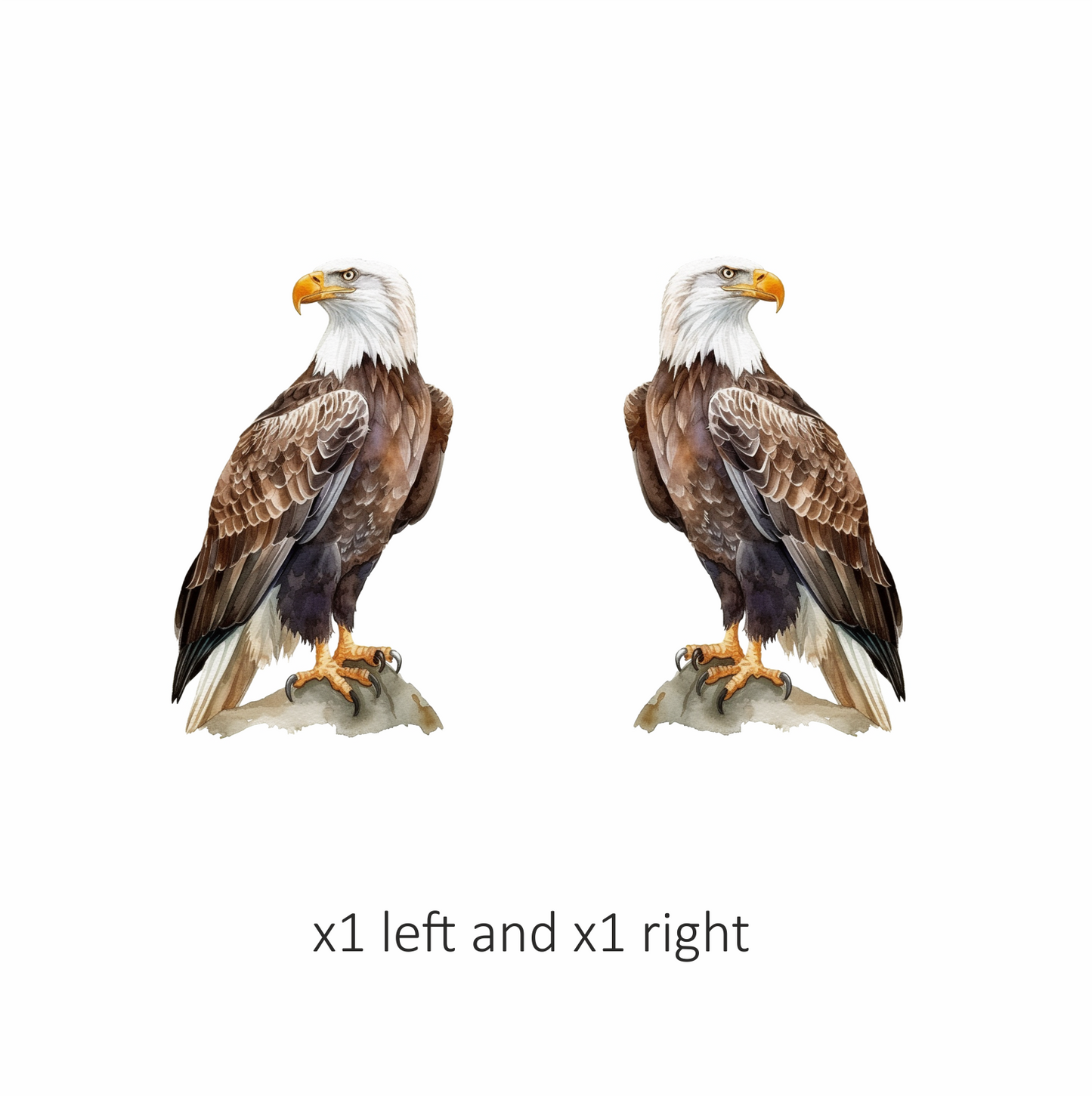 Brown Eagle Bald Sitting Rock Vinyl Sticker Decal