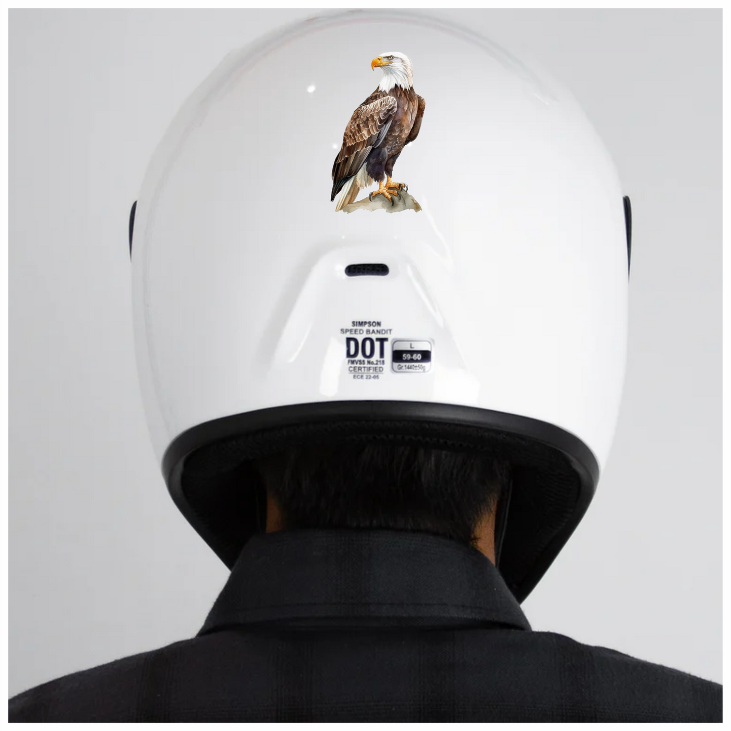 Brown Eagle Bald Sitting Rock Vinyl Sticker Decal