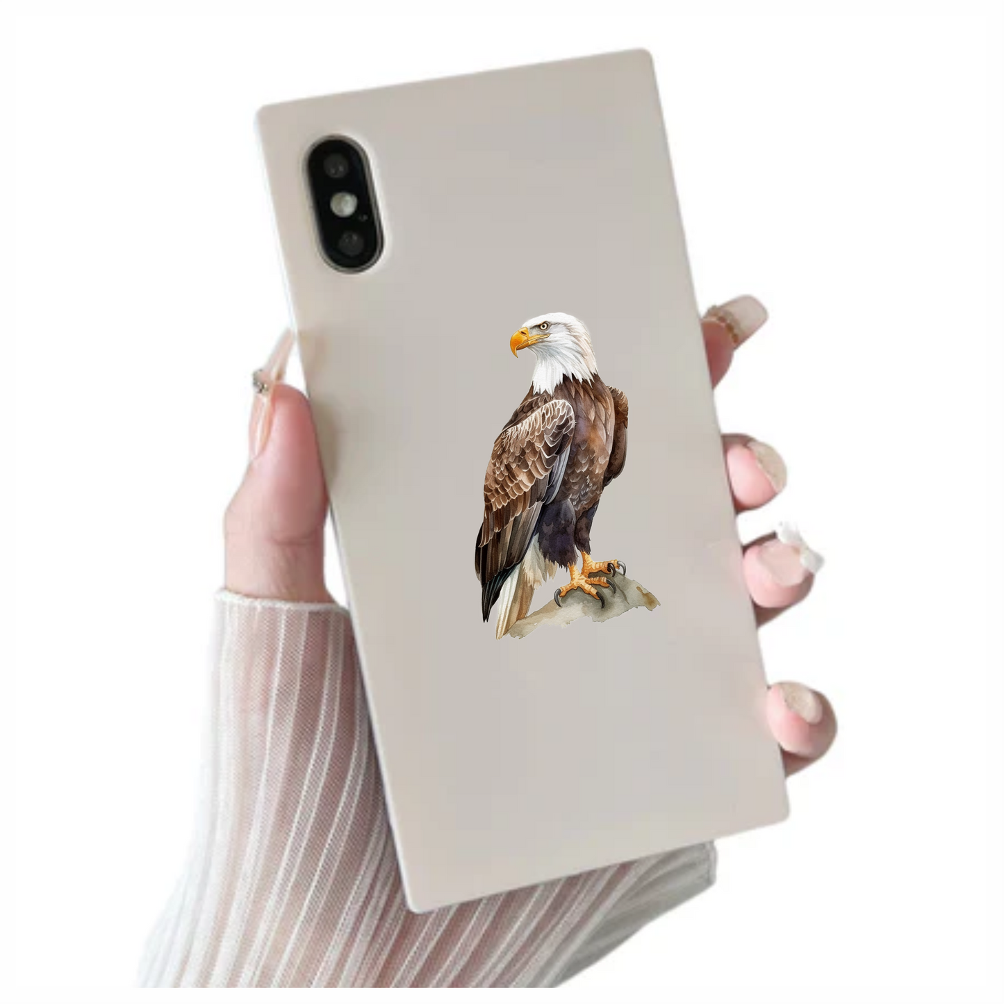 Brown Eagle Bald Sitting Rock Vinyl Sticker Decal