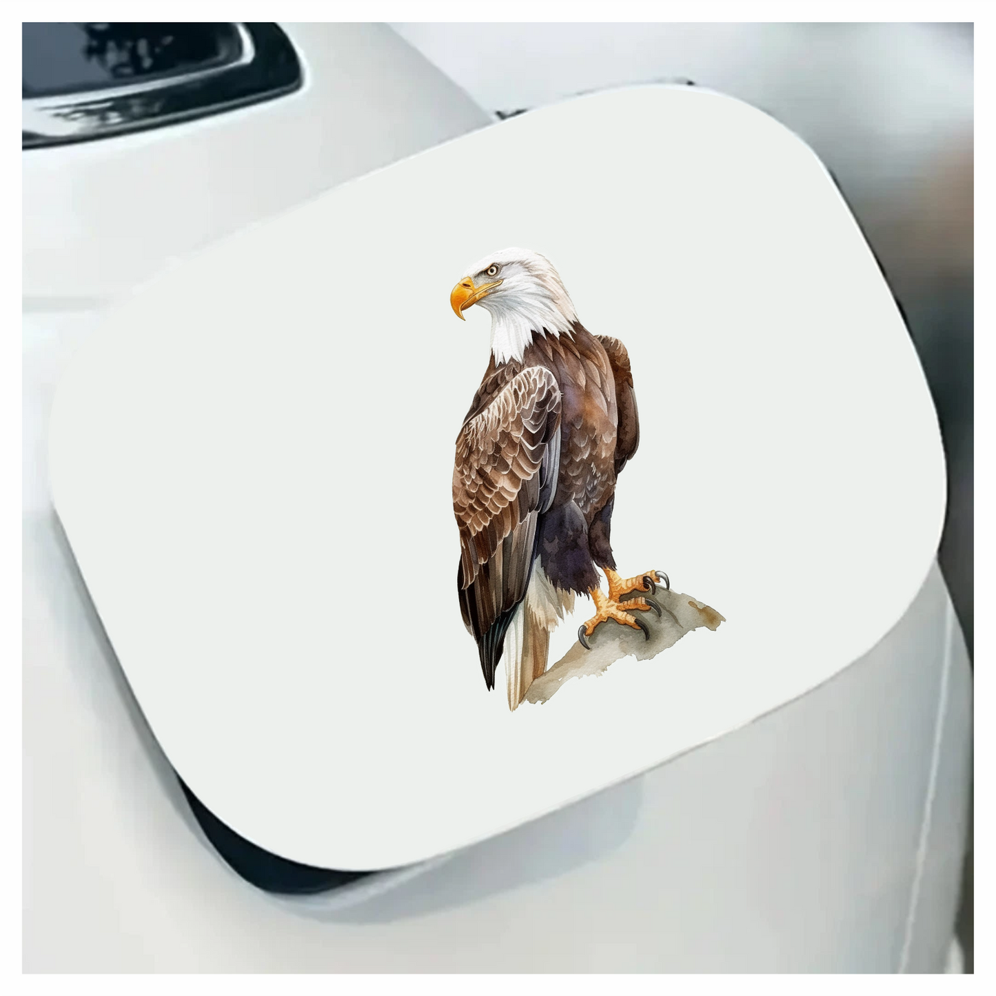 Brown Eagle Bald Sitting Rock Vinyl Sticker Decal