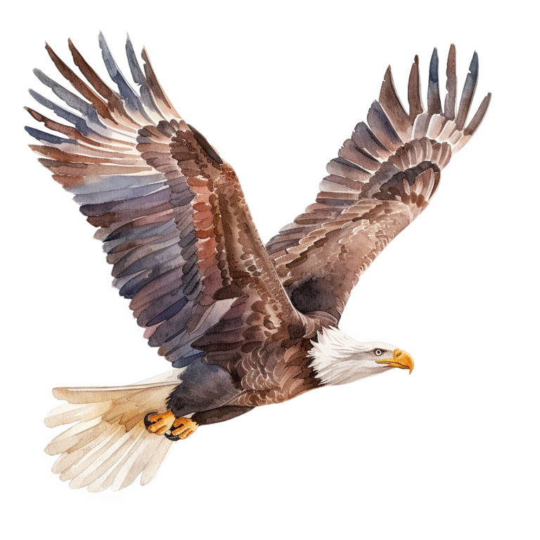 Brown Eagle Bald Flying Wings Vinyl Sticker Decal