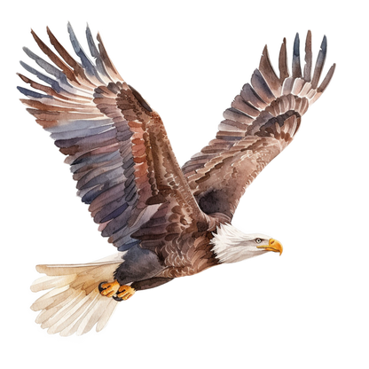 Brown Eagle Bald Flying Wings Vinyl Sticker Decal