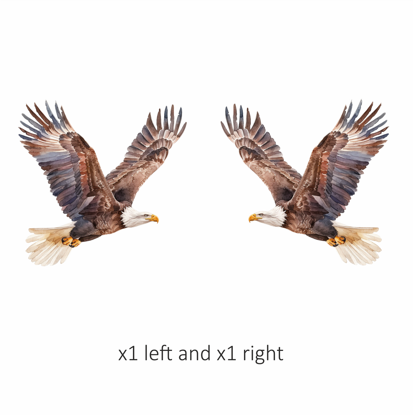 Brown Eagle Bald Flying Wings Vinyl Sticker Decal