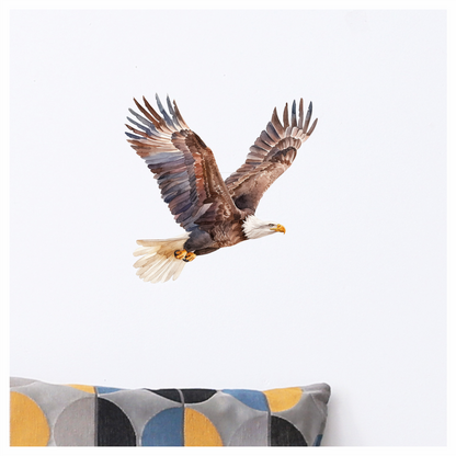 Brown Eagle Bald Flying Wings Vinyl Sticker Decal