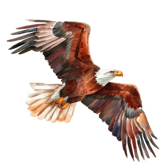 Brown Eagle Bald Soaring Wings Vinyl Sticker Decal