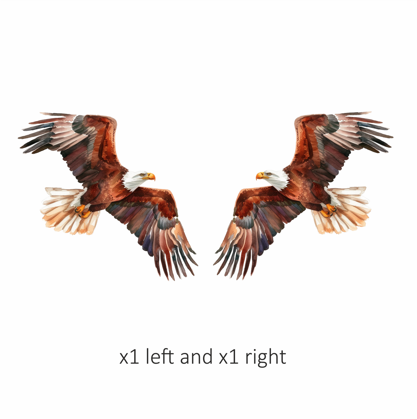 Brown Eagle Bald Soaring Wings Vinyl Sticker Decal