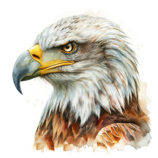 White Eagle Bald Head Portrait Vinyl Sticker Decal