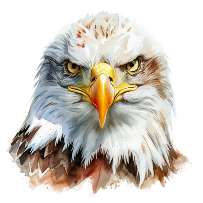 White Eagle Bald Face Close Vinyl Sticker Decal