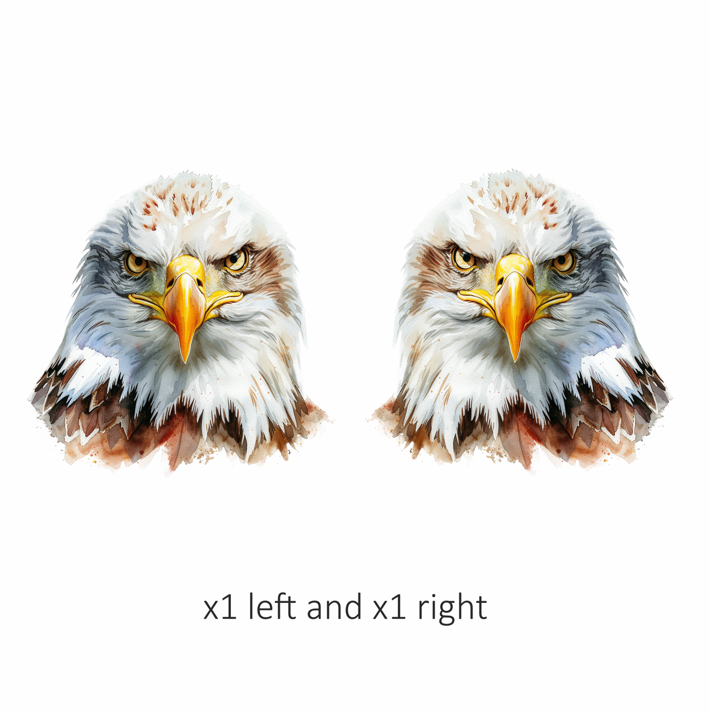 White Eagle Bald Face Close Vinyl Sticker Decal