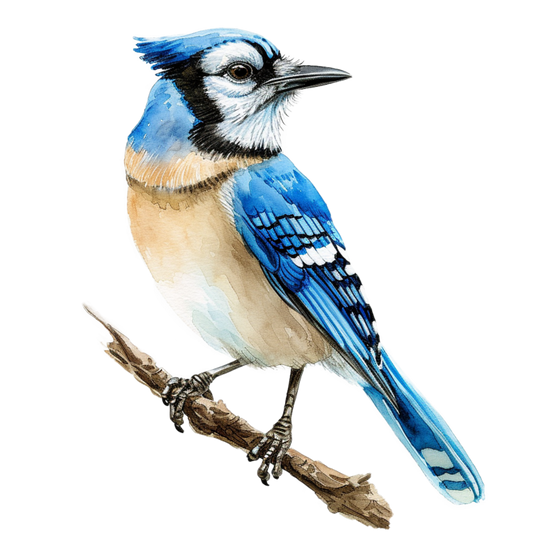 Blue Jay Bird Perched Branch Vinyl Sticker Decal