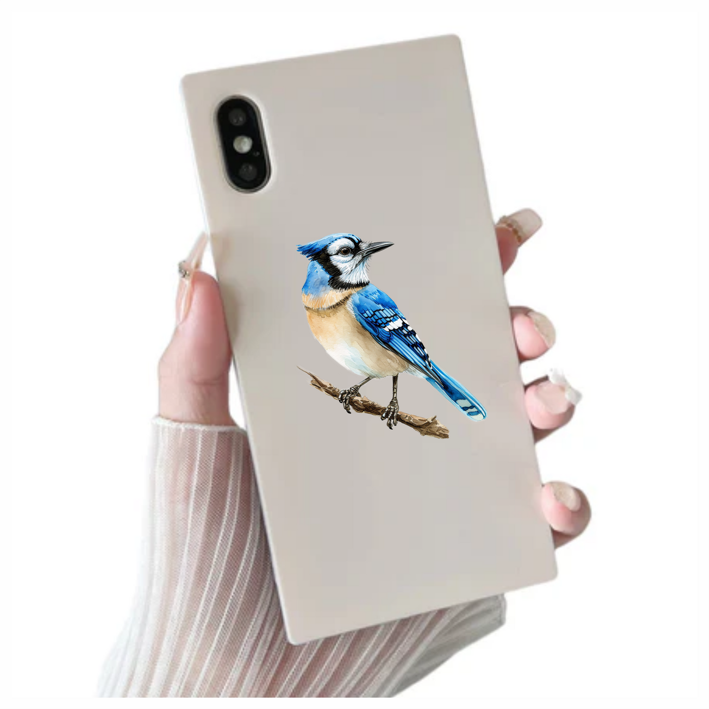 Blue Jay Bird Perched Branch Vinyl Sticker Decal