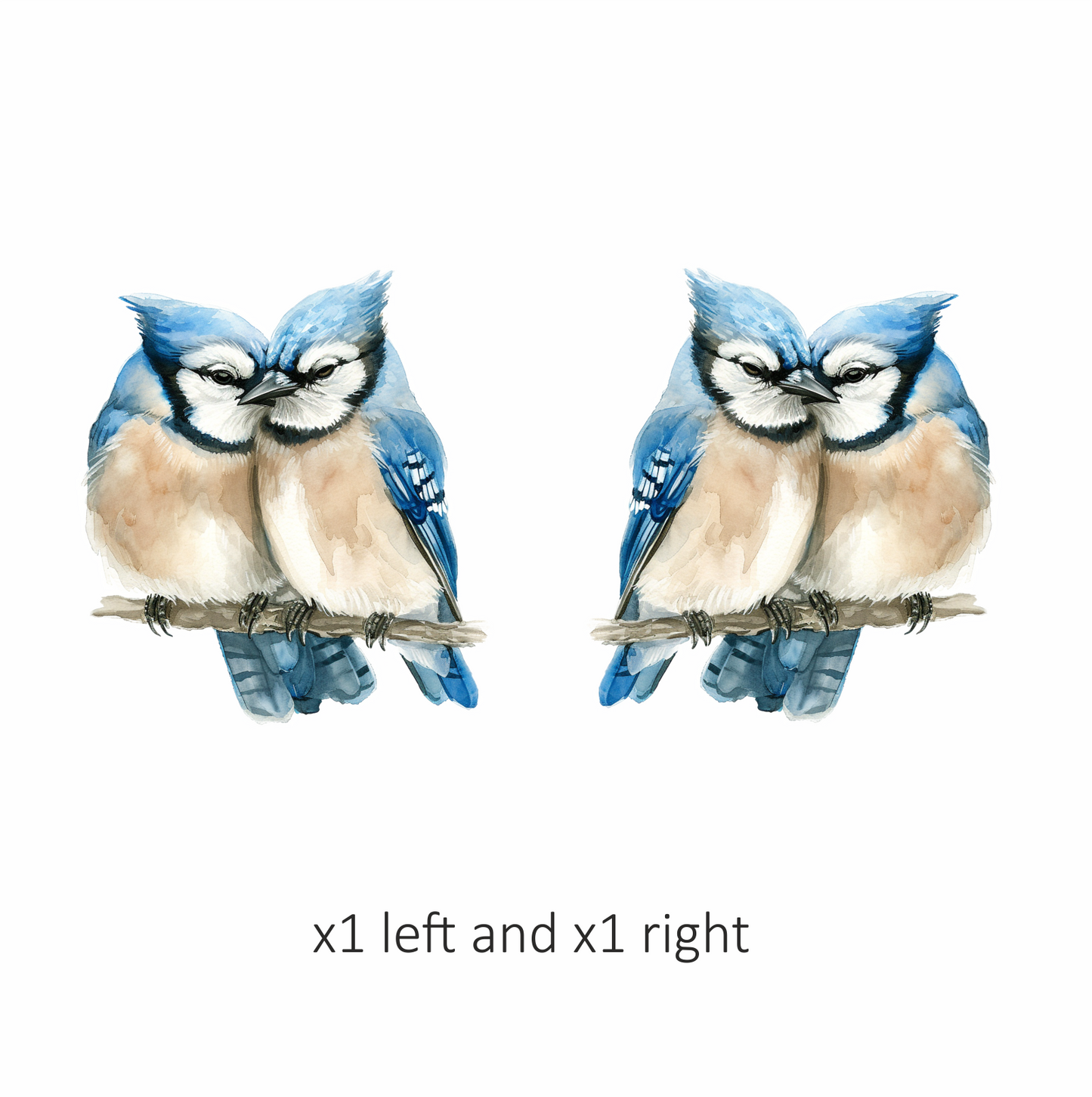 Blue Jays Birds Sitting Together Vinyl Sticker Decal