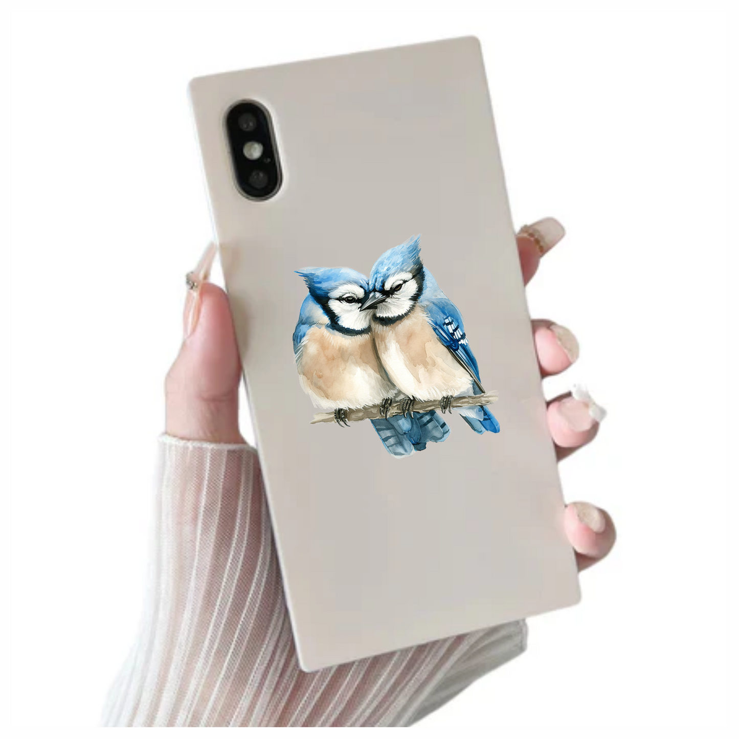 Blue Jays Birds Sitting Together Vinyl Sticker Decal