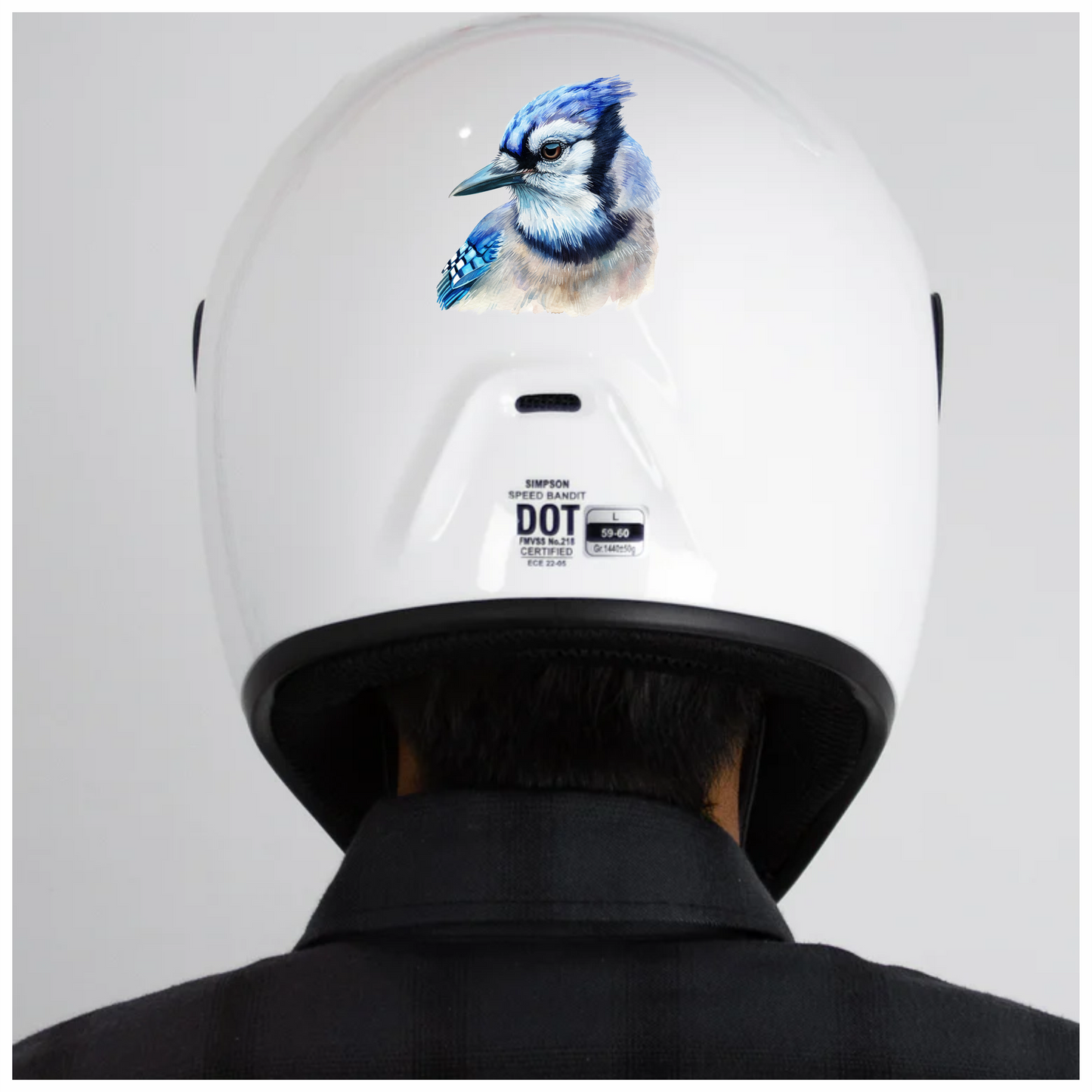 Blue Jay Bird Head Close Vinyl Sticker Decal