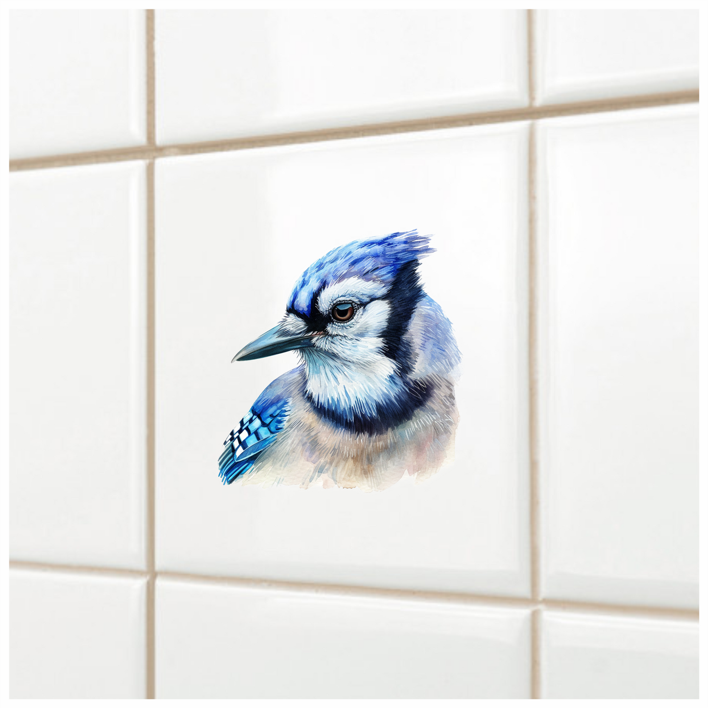 Blue Jay Bird Head Close Vinyl Sticker Decal
