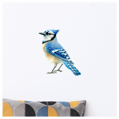Blue Jay Bird Standing Side Vinyl Sticker Decal