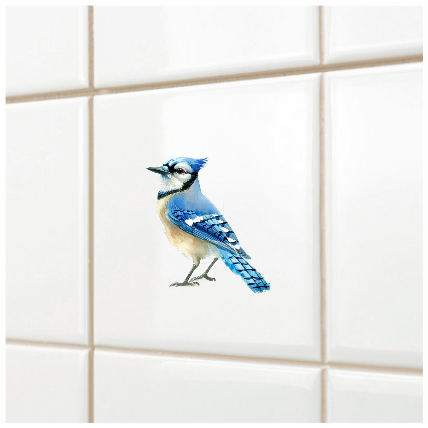 Blue Jay Bird Standing Side Vinyl Sticker Decal