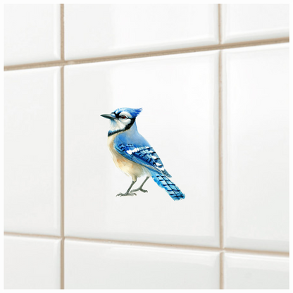 Blue Jay Bird Standing Side Vinyl Sticker Decal