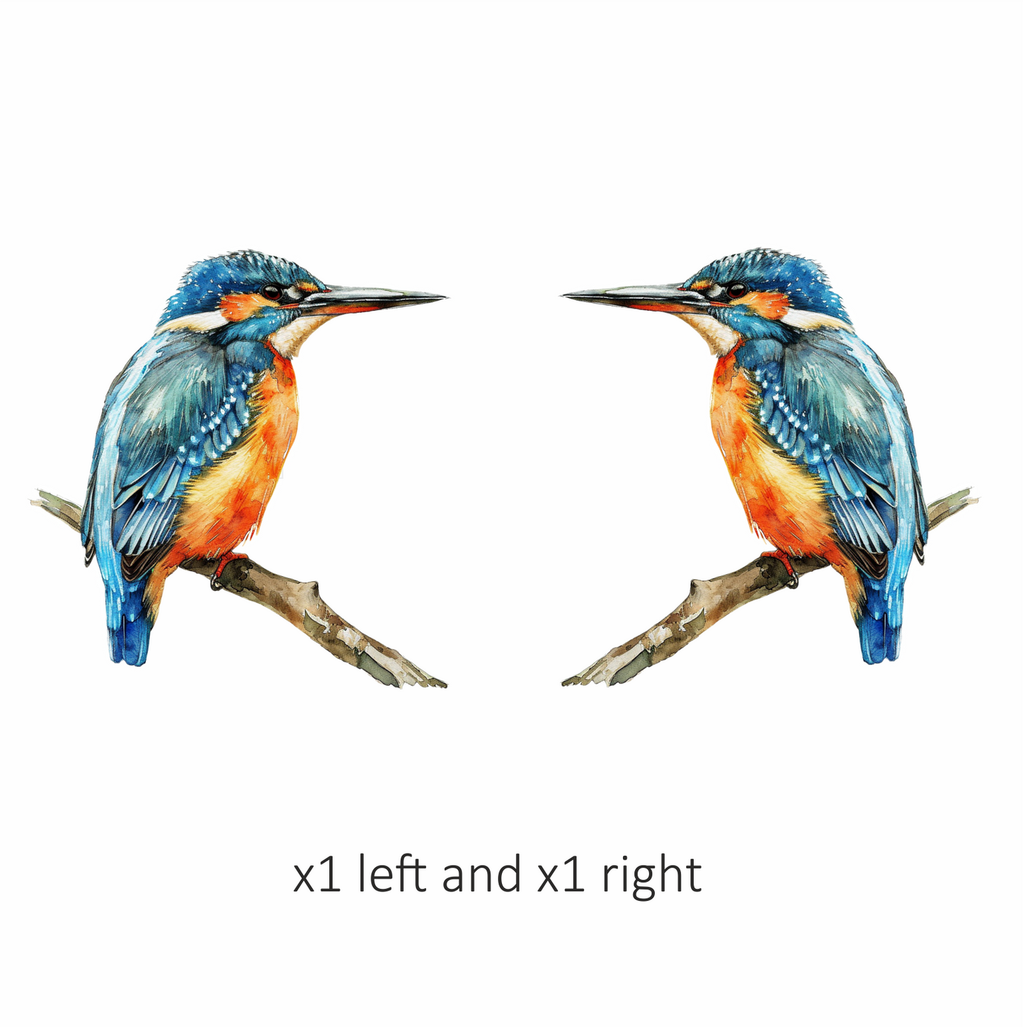 Blue Kingfisher Bird Perched Branch Vinyl Sticker Decal