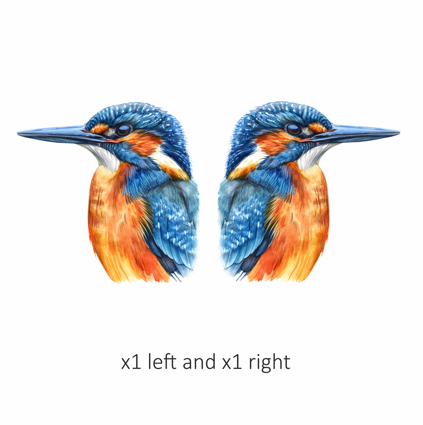 Blue Kingfisher Bird Head Close Vinyl Sticker Decal