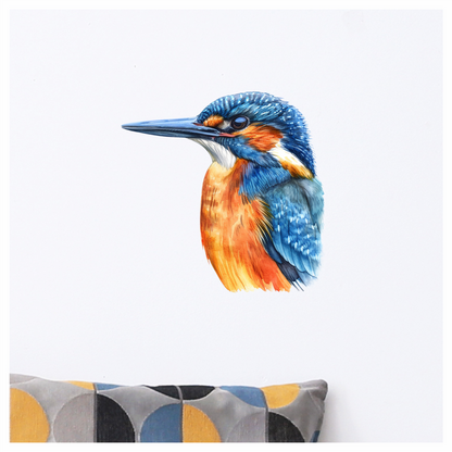 Blue Kingfisher Bird Head Close Vinyl Sticker Decal