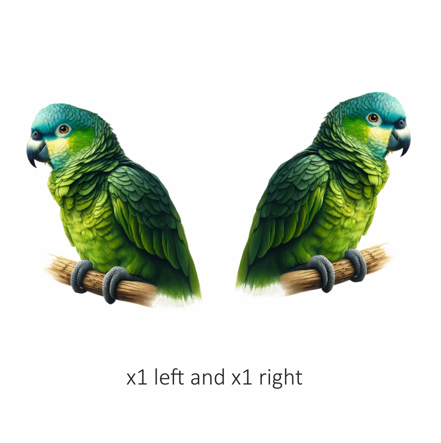 Green Parrot Bird Perched Branch Vinyl Sticker Decal