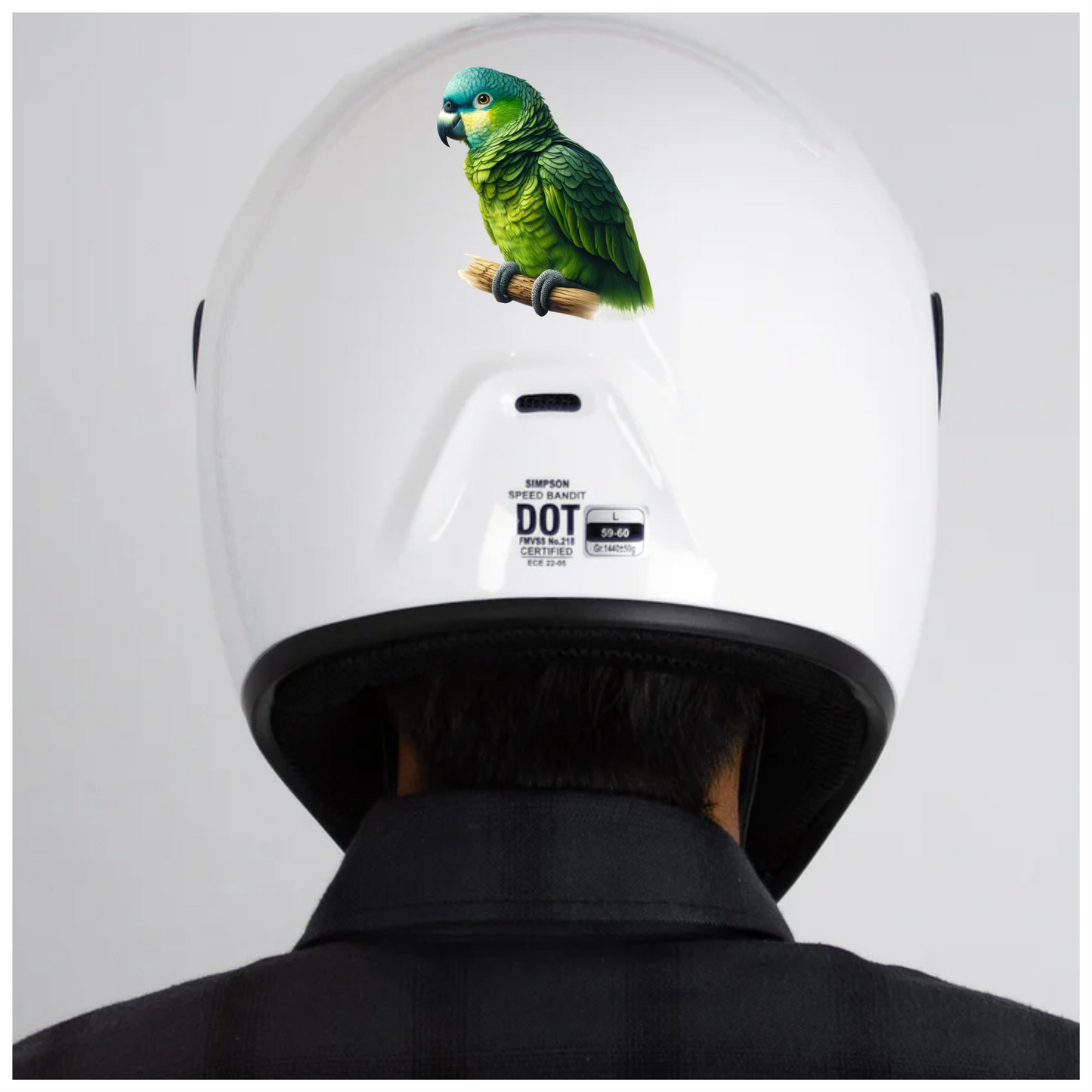 Green Parrot Bird Perched Branch Vinyl Sticker Decal