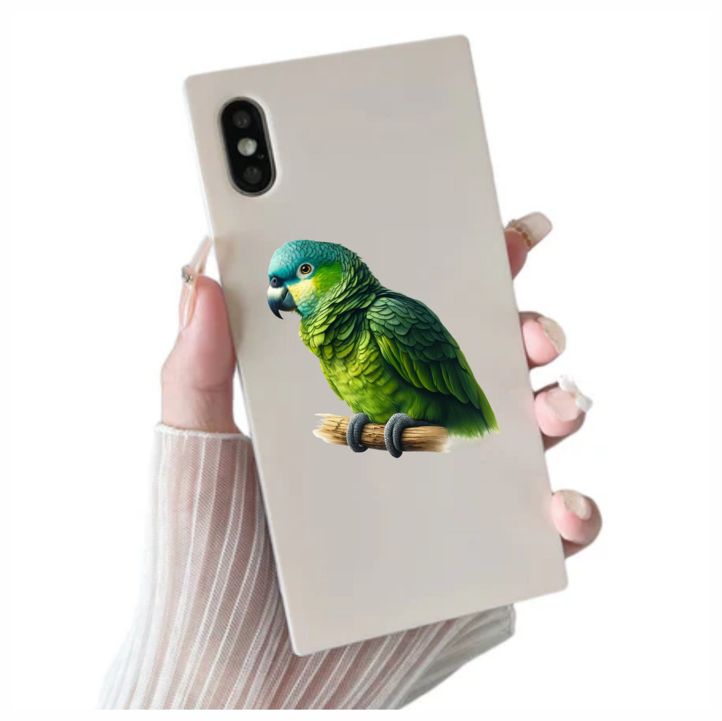 Green Parrot Bird Perched Branch Vinyl Sticker Decal