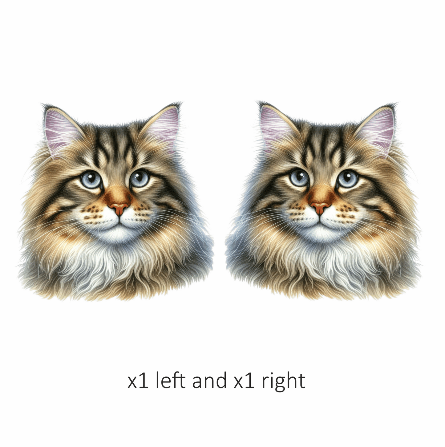 Brown Cat With Blue Eyes Vinyl Sticker Decal