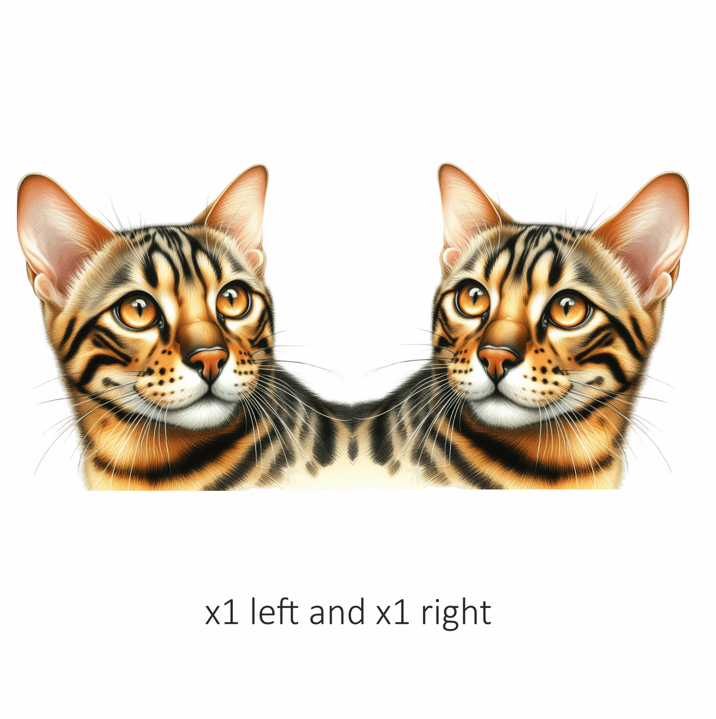 Brown Bengal Cat With Amber Eyes Vinyl Sticker Decal