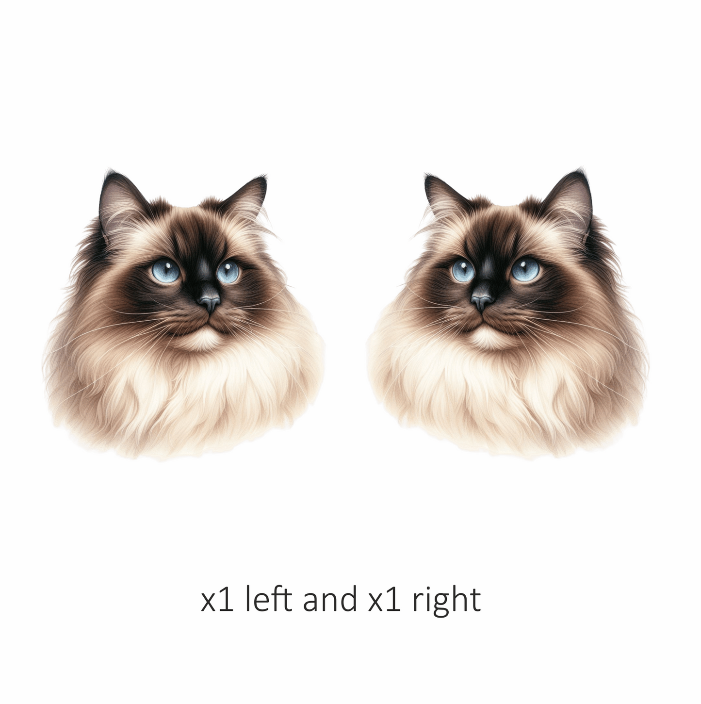 Cream Himalayan Cat With Blue Eyes Vinyl Sticker Decal