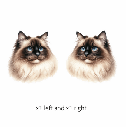 Cream Himalayan Cat With Blue Eyes Vinyl Sticker Decal