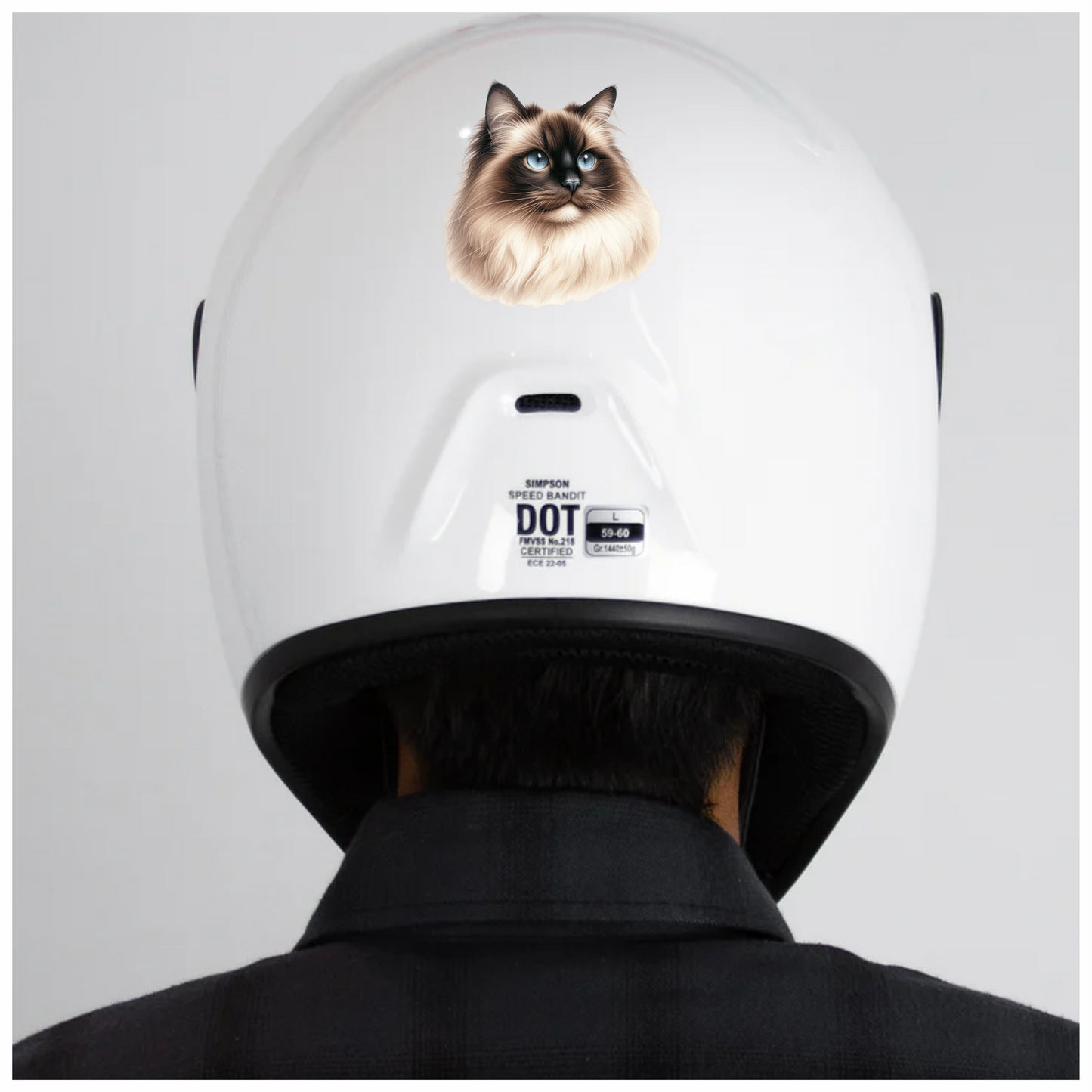 Cream Himalayan Cat With Blue Eyes Vinyl Sticker Decal