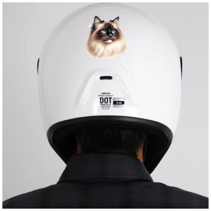 Cream Himalayan Cat With Blue Eyes Vinyl Sticker Decal