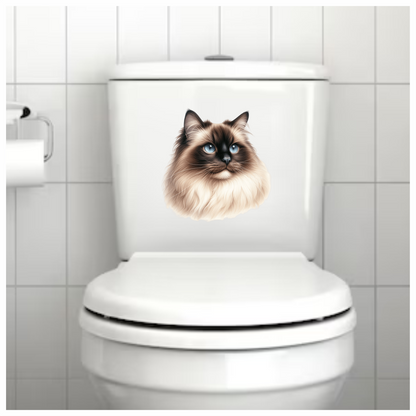 Cream Himalayan Cat With Blue Eyes Vinyl Sticker Decal