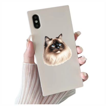 Cream Himalayan Cat With Blue Eyes Vinyl Sticker Decal