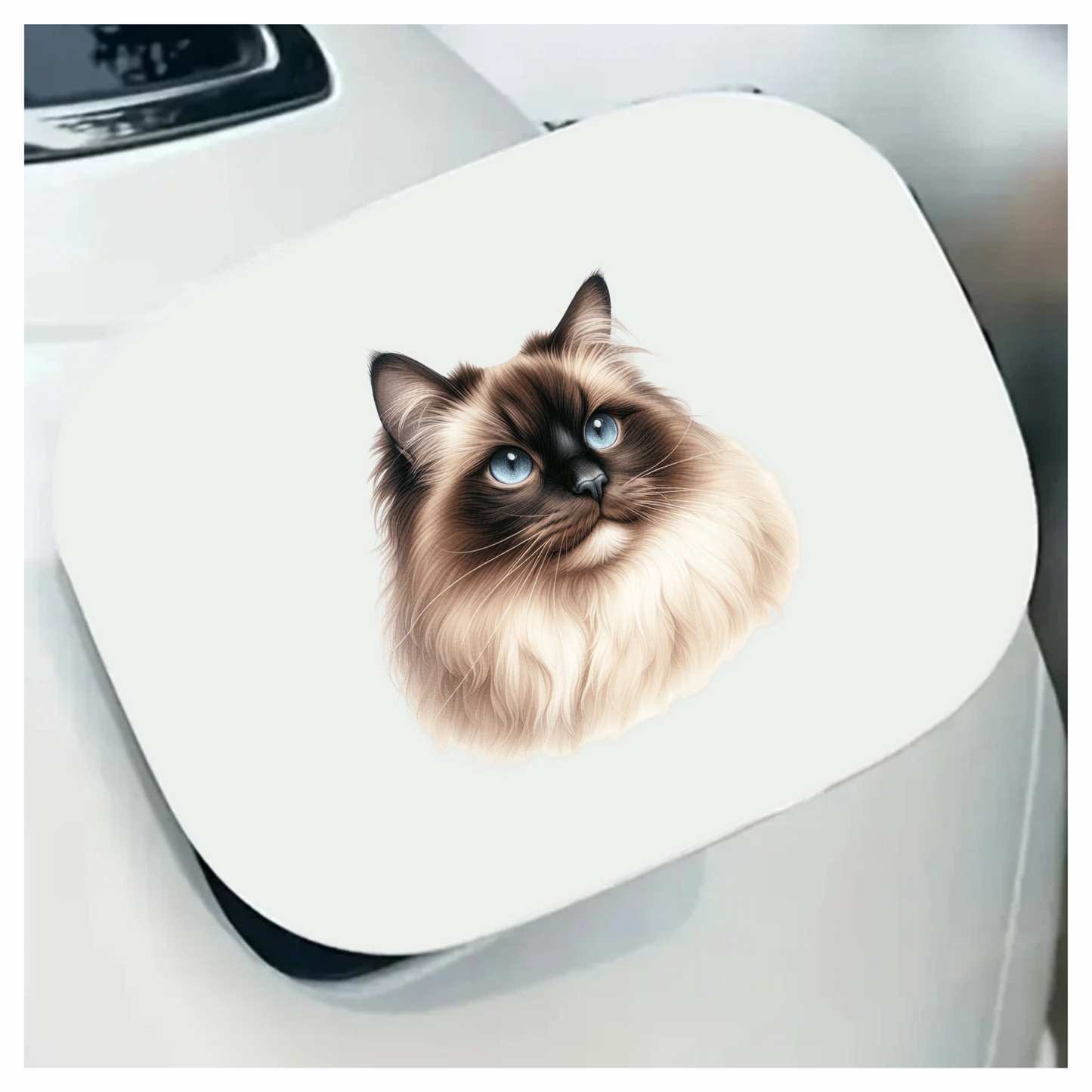 Cream Himalayan Cat With Blue Eyes Vinyl Sticker Decal