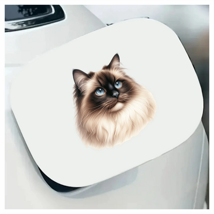 Cream Himalayan Cat With Blue Eyes Vinyl Sticker Decal