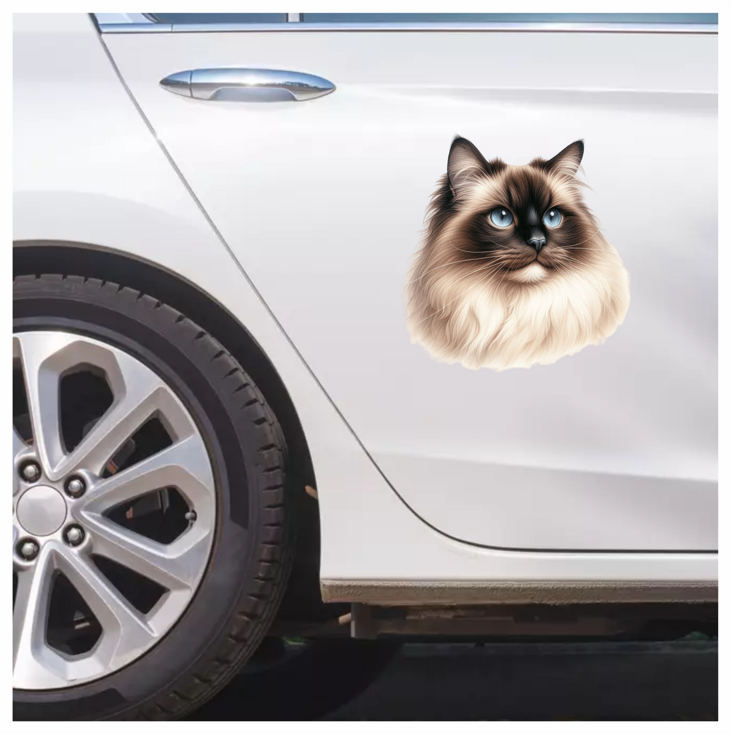 Cream Himalayan Cat With Blue Eyes Vinyl Sticker Decal