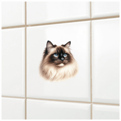 Cream Himalayan Cat With Blue Eyes Vinyl Sticker Decal
