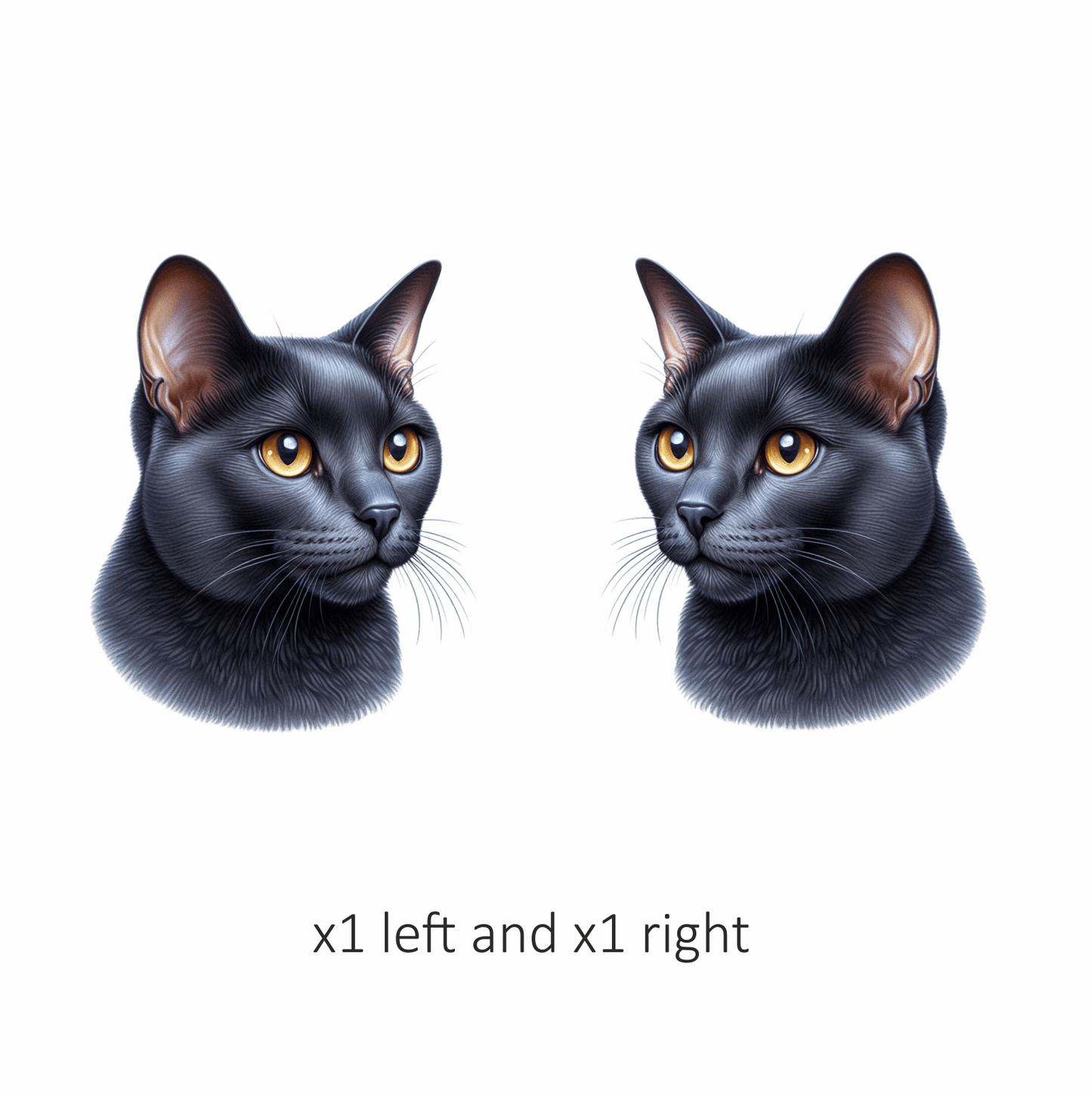 Black Burmese Cat With Amber Eyes Vinyl Sticker Decal