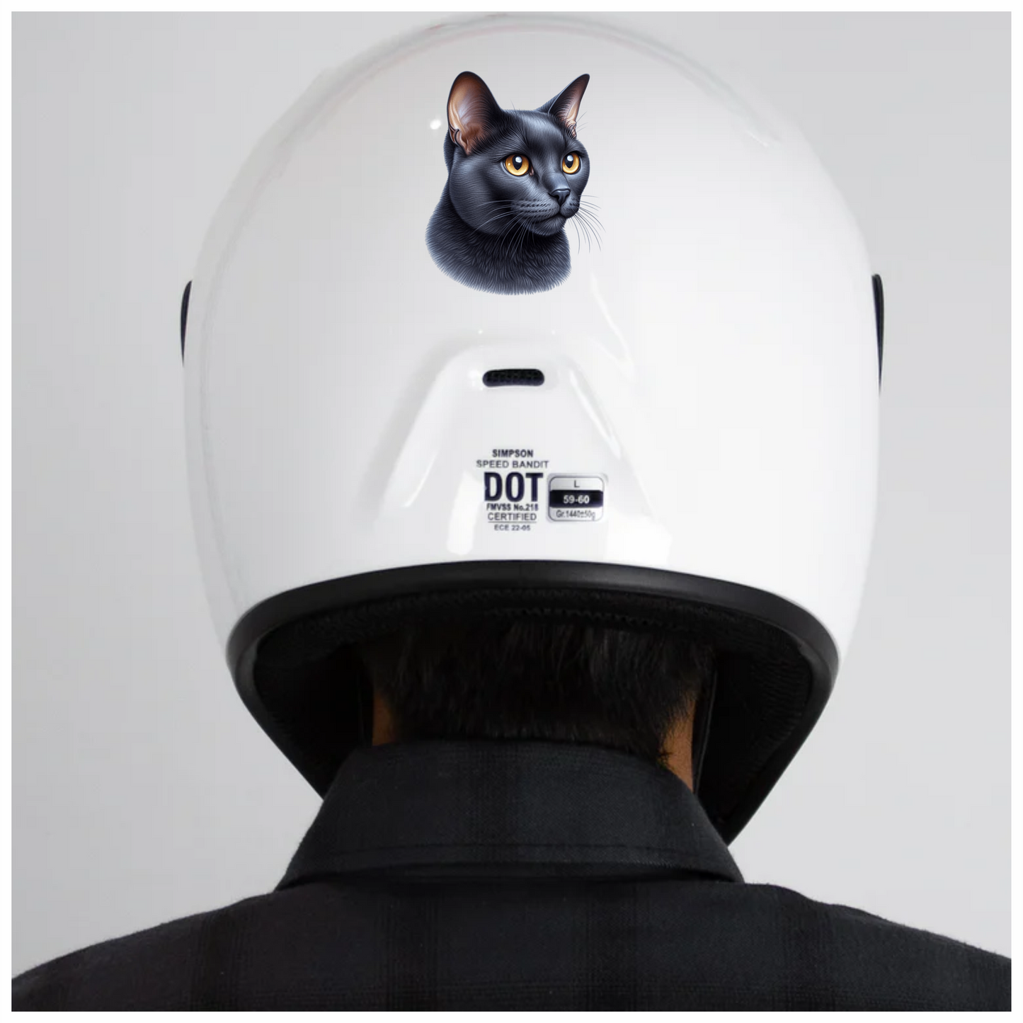 Black Burmese Cat With Amber Eyes Vinyl Sticker Decal