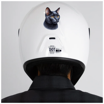 Black Burmese Cat With Amber Eyes Vinyl Sticker Decal