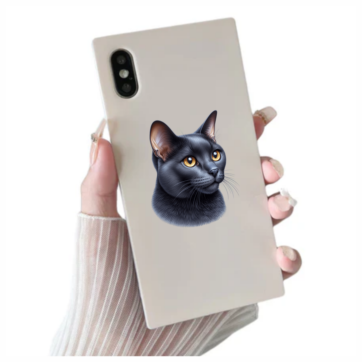 Black Burmese Cat With Amber Eyes Vinyl Sticker Decal