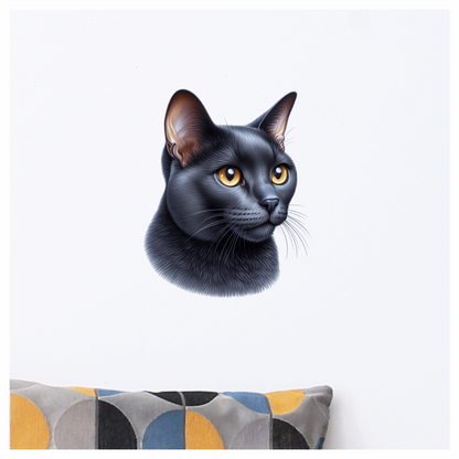Black Burmese Cat With Amber Eyes Vinyl Sticker Decal