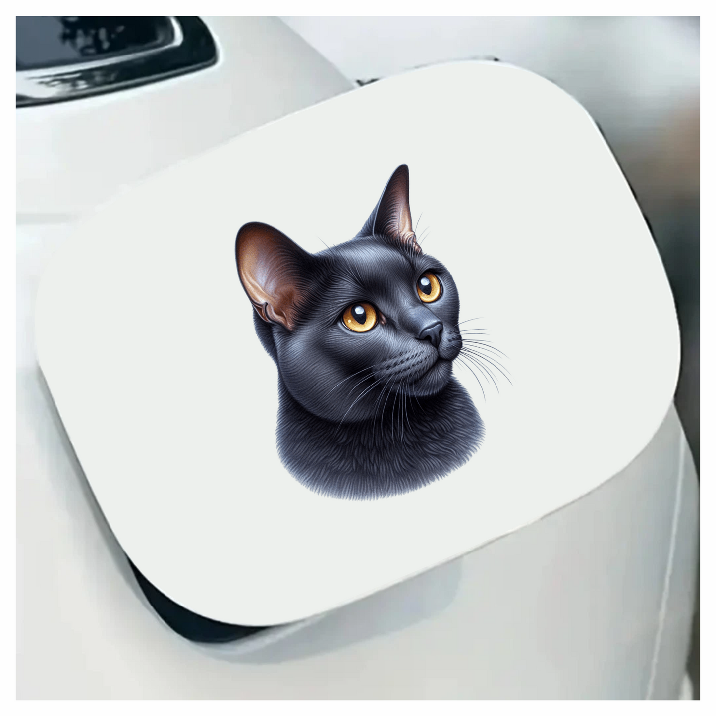 Black Burmese Cat With Amber Eyes Vinyl Sticker Decal