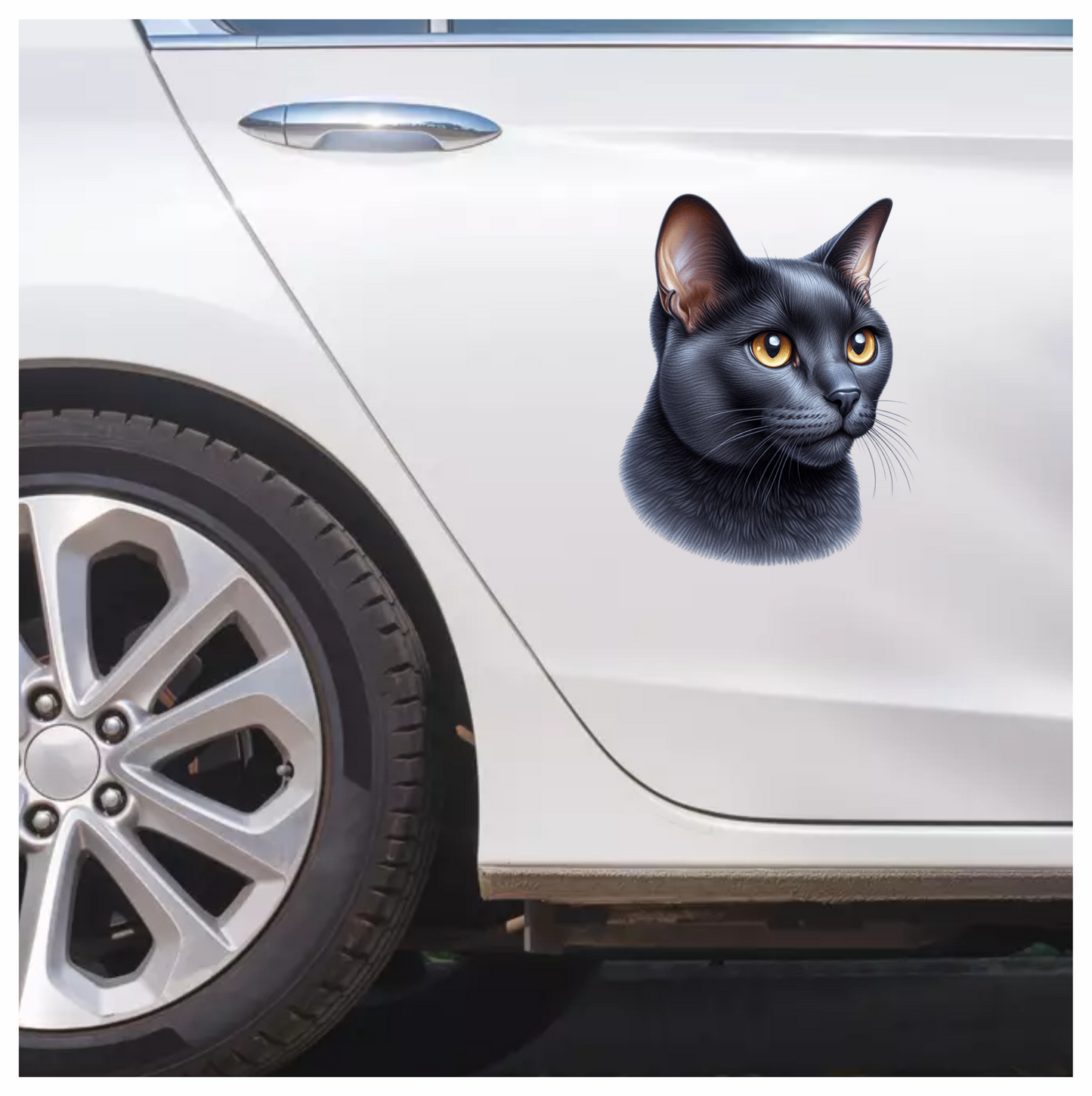 Black Burmese Cat With Amber Eyes Vinyl Sticker Decal