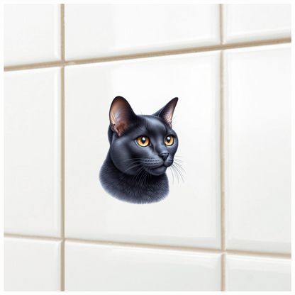 Black Burmese Cat With Amber Eyes Vinyl Sticker Decal